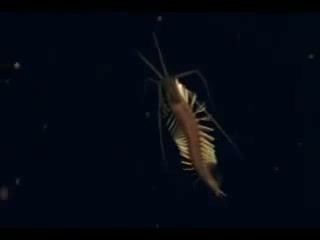sm13473435_00000969