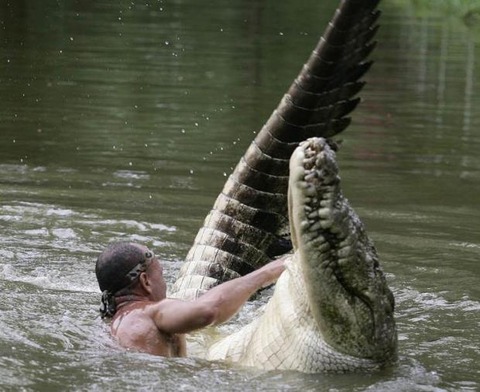 image001 115