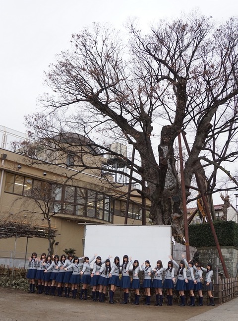 s_DSC08351