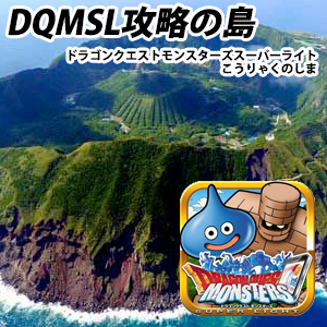 icon4