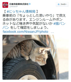 痛いニュース(ﾉ∀`) : 日産が乗車前の「猫バンバン」を呼びかけ…エンジンルームやボンネットに猫が入り込む季節 - ライブドアブログ