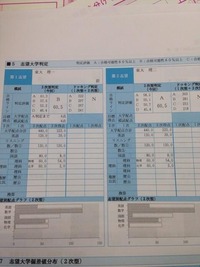 large_ (1)
