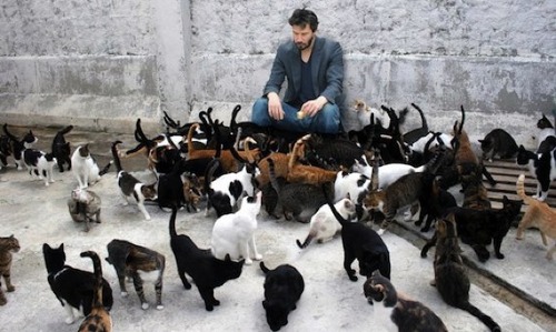 cheer_up_keanu_cats