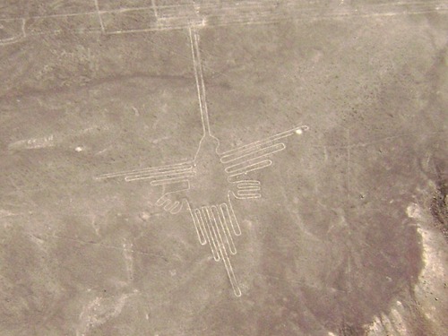 Nazca_Lines%2C_Humming_Bird