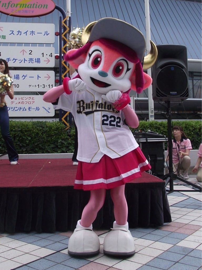 dfd9516e.jpg