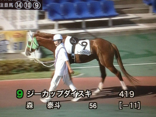 グロスレ雑談＆避難所★12YouTube動画>36本 ->画像>1835枚 