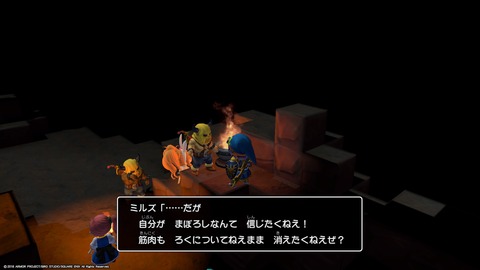 ドラクエビルダーズ2_20190106152751