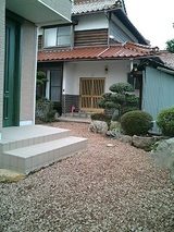 613d6d00.jpg