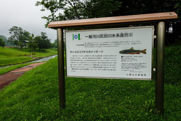 真狩川3