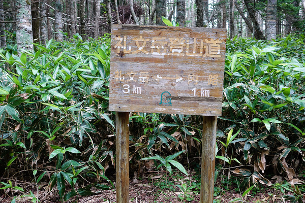 1キロ地点