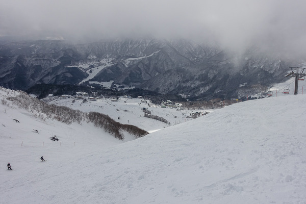 鉢伏山山頂からハチ高原ゲレンデを望む