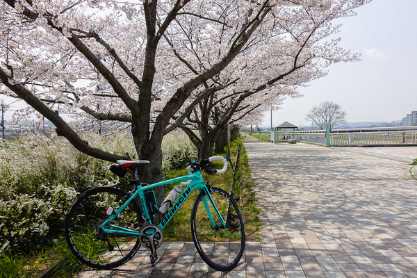 石川サイクル橋で1