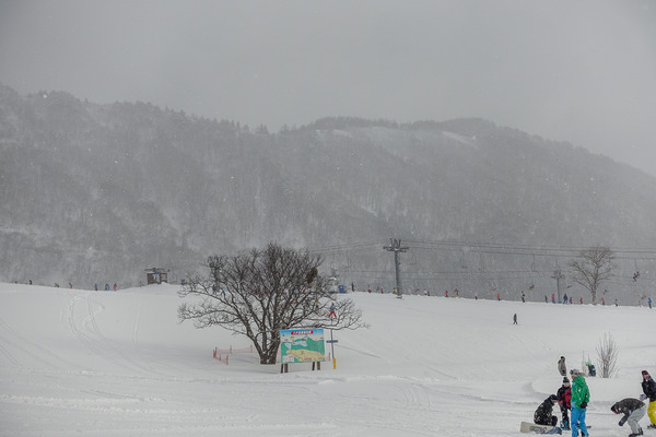 雪降りしきるゲレンデ