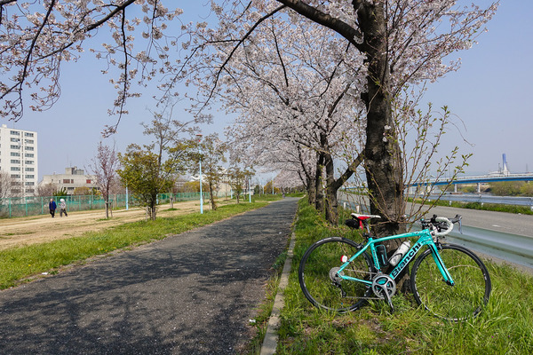 大和川堤防で2