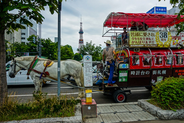 テレビ塔と馬車