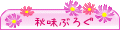 ��̣�֤�����