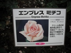 DSCF0700