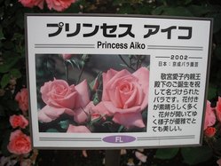 DSCF0702