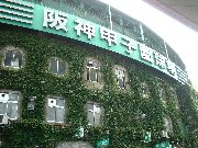 阪神甲子園球場 12年振りにやって来たでぇー