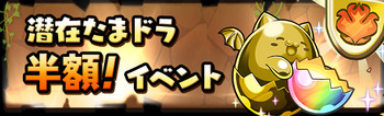 パズドラ 潜在たまドラ 半額