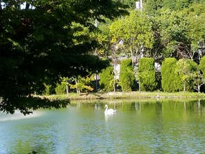 20170812_163729