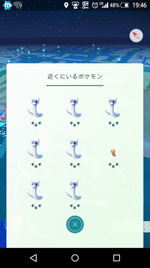 ポケモンgo 自分の事をミニリュウと思ってるビードルが可愛い ポケモンgo速報