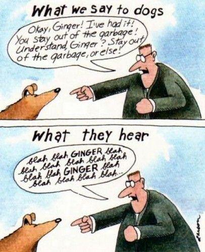 gary-larson-far-ginger
