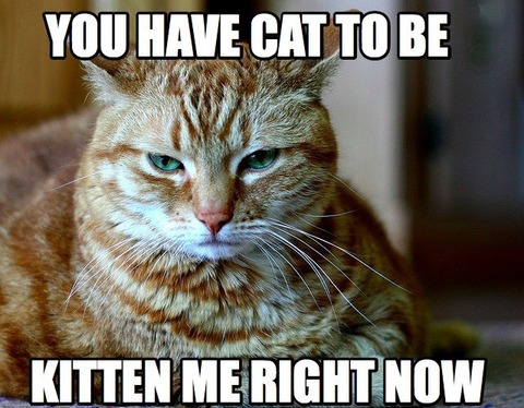CAT-PUN