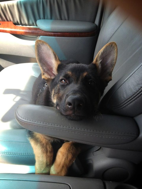 K9BTswv