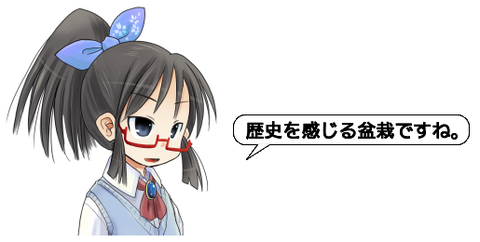 ピクチャ 6