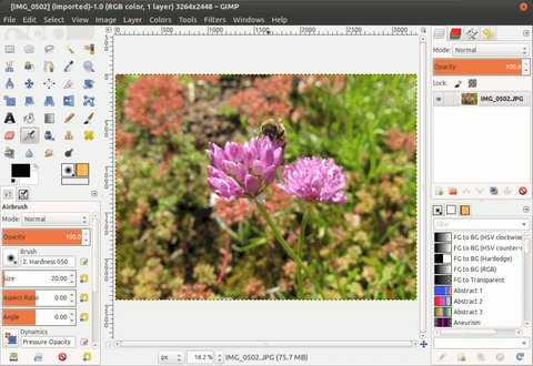 GIMP_2.8_in_Single