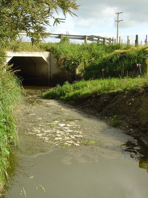Water_pollution_in_the_Wairarapa