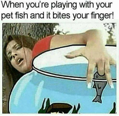 wxLGUMh