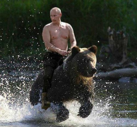 putingridingbear