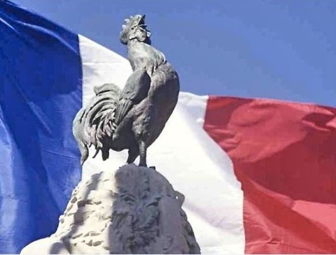 COQ-GAULOIS