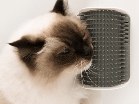 Cat-Self-Groomer