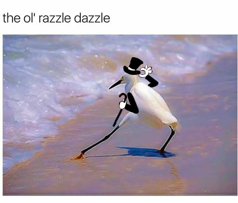 N6zq46agfqI6VTlmFFgQ