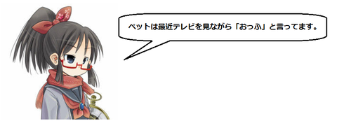 キャプチャ