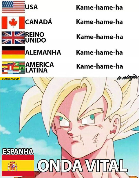 kame-hame-ha-in-spanish-onda-vital