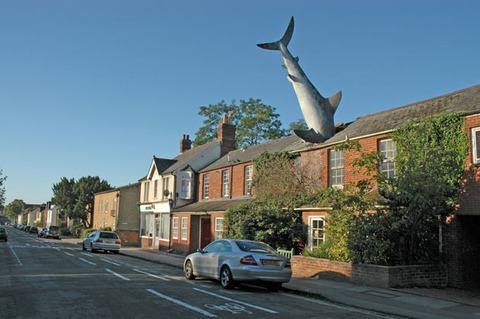 headingtonShark_2092855i