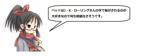 キャプチャ