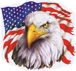 crying-eagle3