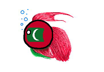 キャプチャ