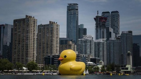 CKL104-Toronto+Duck+2017063
