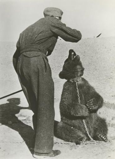 Polish_Soldier_in_Iran_wojtek