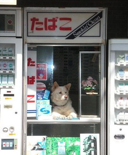 PO0nLvm