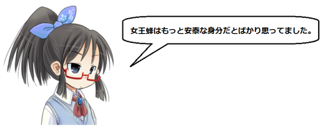 キャプチャ