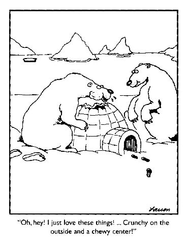 Icebears