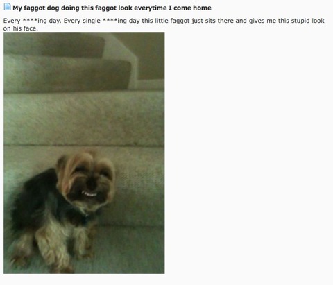stupid_faggot_dog