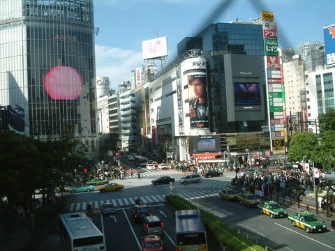 Shibuya-Crossing-1